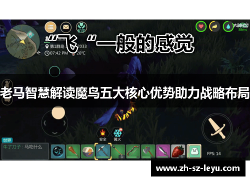 老马智慧解读魔鸟五大核心优势助力战略布局 老马智慧解读魔鸟五大核心优势助力战略布局