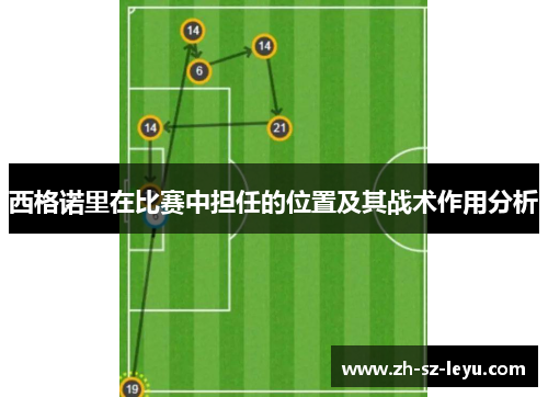西格诺里在比赛中担任的位置及其战术作用分析