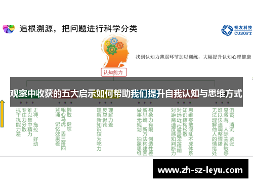 观察中收获的五大启示如何帮助我们提升自我认知与思维方式