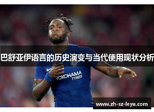 巴舒亚伊语言的历史演变与当代使用现状分析 巴舒亚伊语言的历史演变与当代使用现状分析