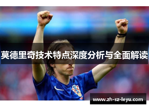 莫德里奇技术特点深度分析与全面解读