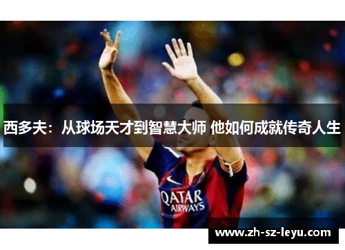 西多夫：从球场天才到智慧大师 他如何成就传奇人生