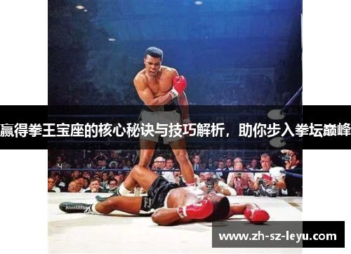 赢得拳王宝座的核心秘诀与技巧解析，助你步入拳坛巅峰