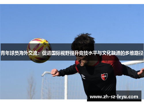 青年球员海外交流：促进国际视野提升竞技水平与文化融通的多维路径