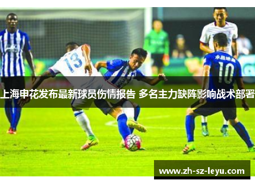 上海申花发布最新球员伤情报告 多名主力缺阵影响战术部署